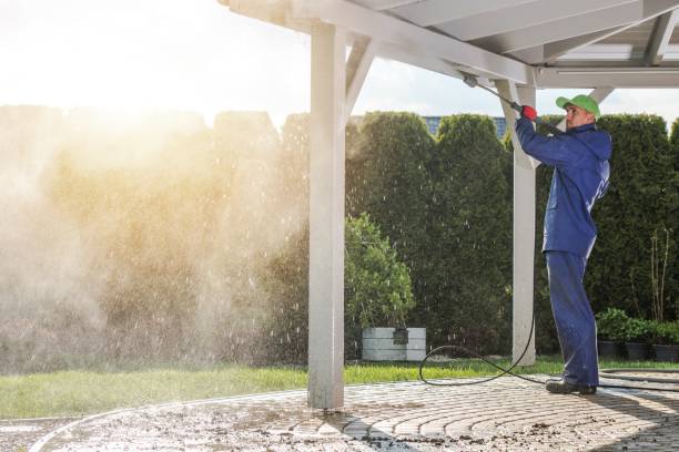 Best Soft Washing  in Manor, TX